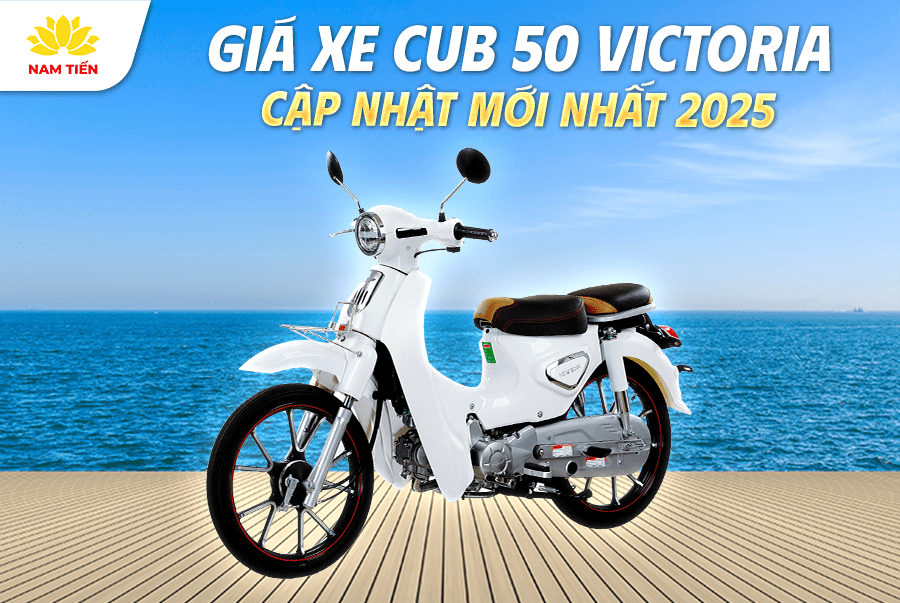 Giá Xe Cub 50 Victoria: Cập Nhật Mới Nhất 2025