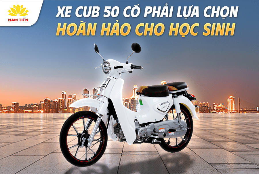 Xe Cub 50 Có Phải Lựa Chọn Hoàn Hảo Cho Học Sinh?