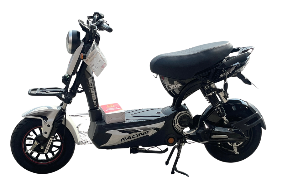 Xe Đạp Điện Style Racing
