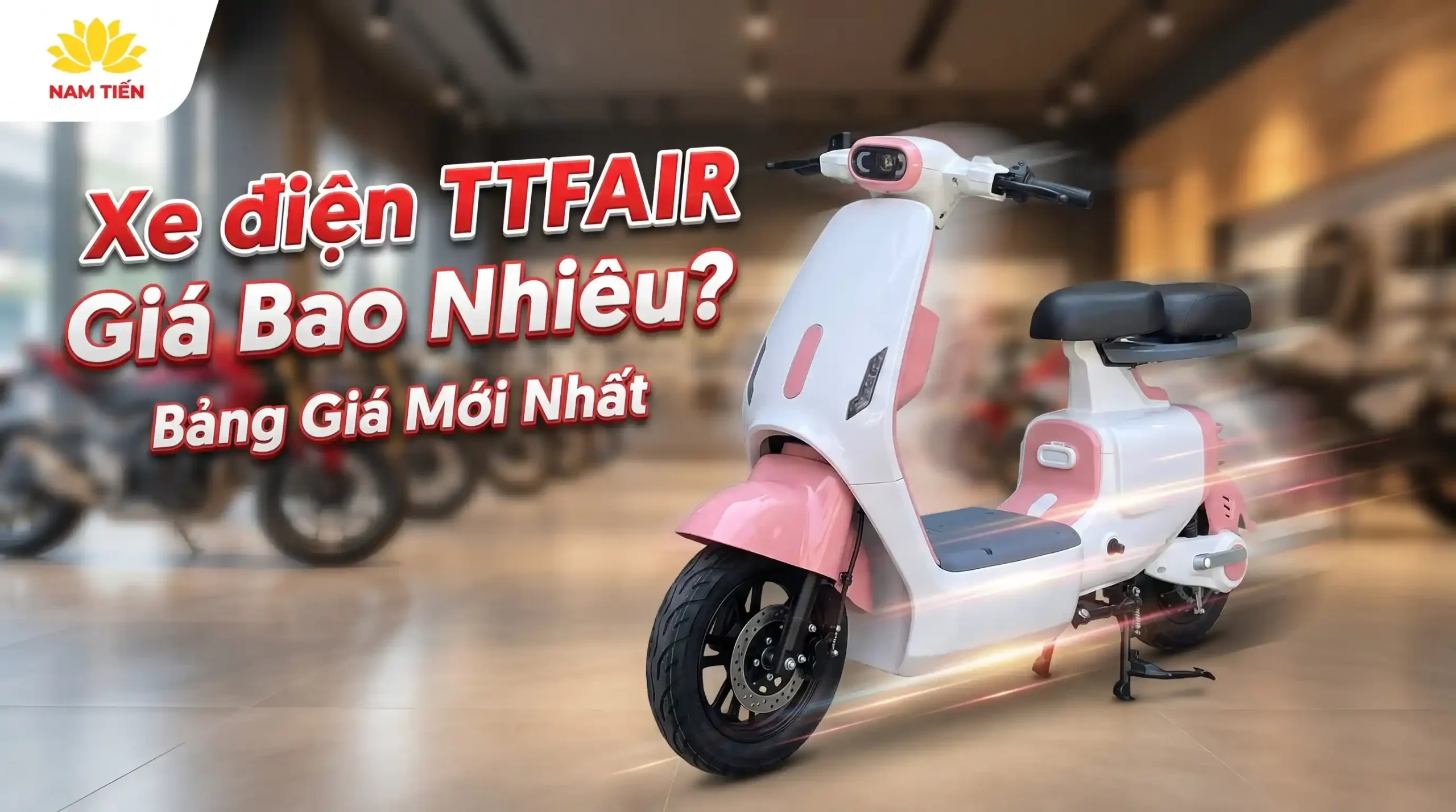 Xe điện TTFAIR Giá Bao Nhiêu? Bảng Giá Mới Nhất