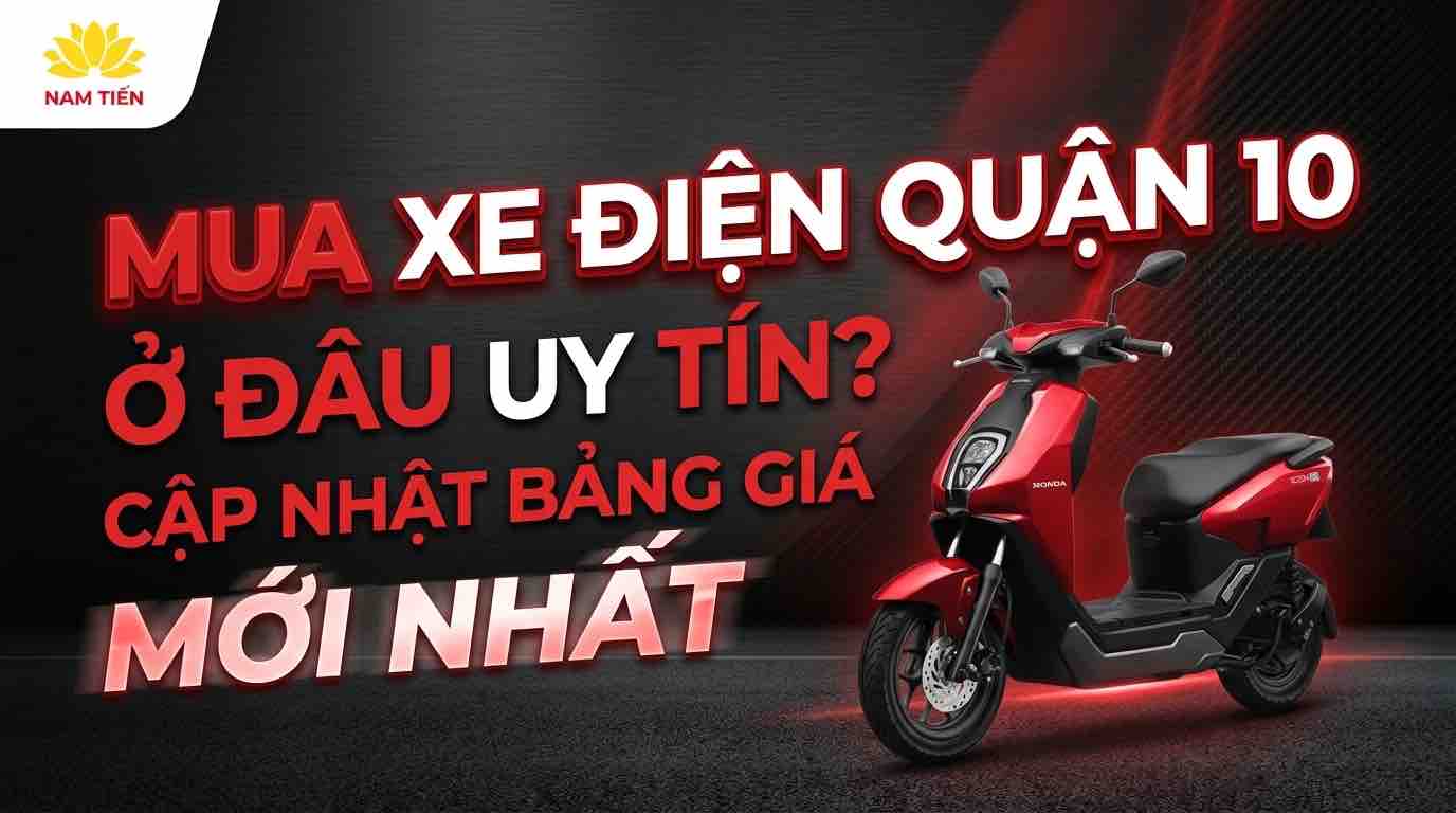 mua-xe-dien-quan-10-o-dau-uy-tin-cap-nhat-bang-gia-moi-nhat