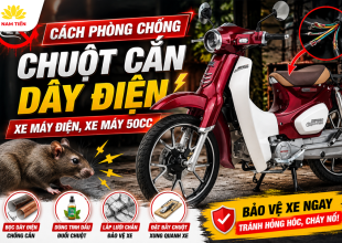 Cách Phòng Chống Chuột Cắn Dây Điện Xe Máy Điện, Xe Máy 50cc