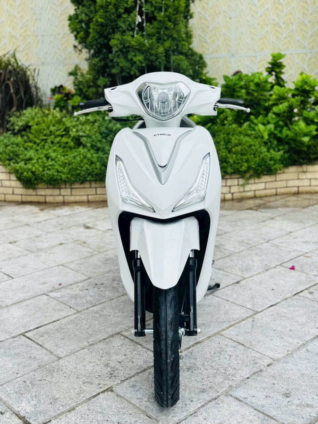 Mua Vision 50cc ở đâu để tránh nhầm xe?